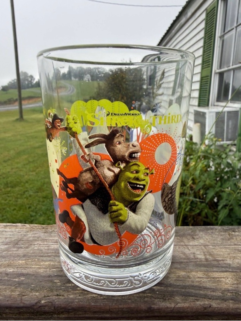 DreamWorks Shrek Colorful Character Glass with Green & Orange Artwork